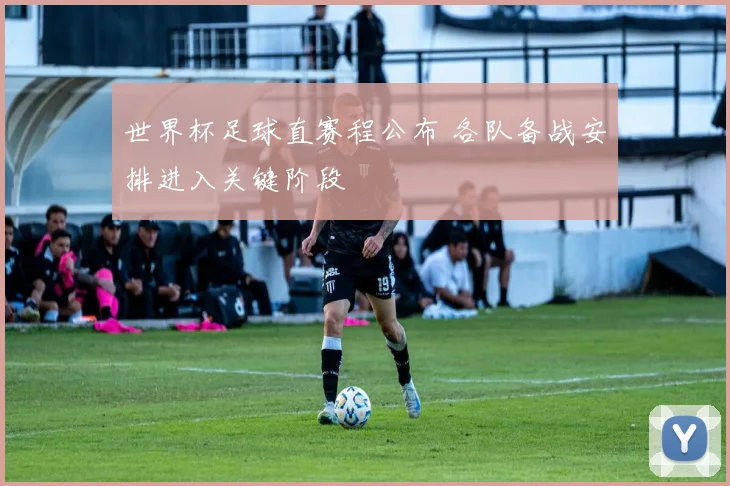 世界杯足球直赛程公布 各队备战安排进入关键阶段