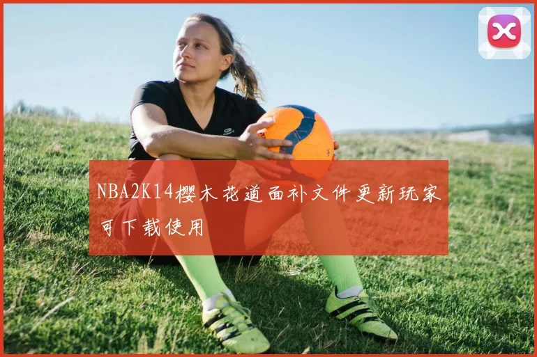 NBA2K14樱木花道面补文件更新玩家可下载使用